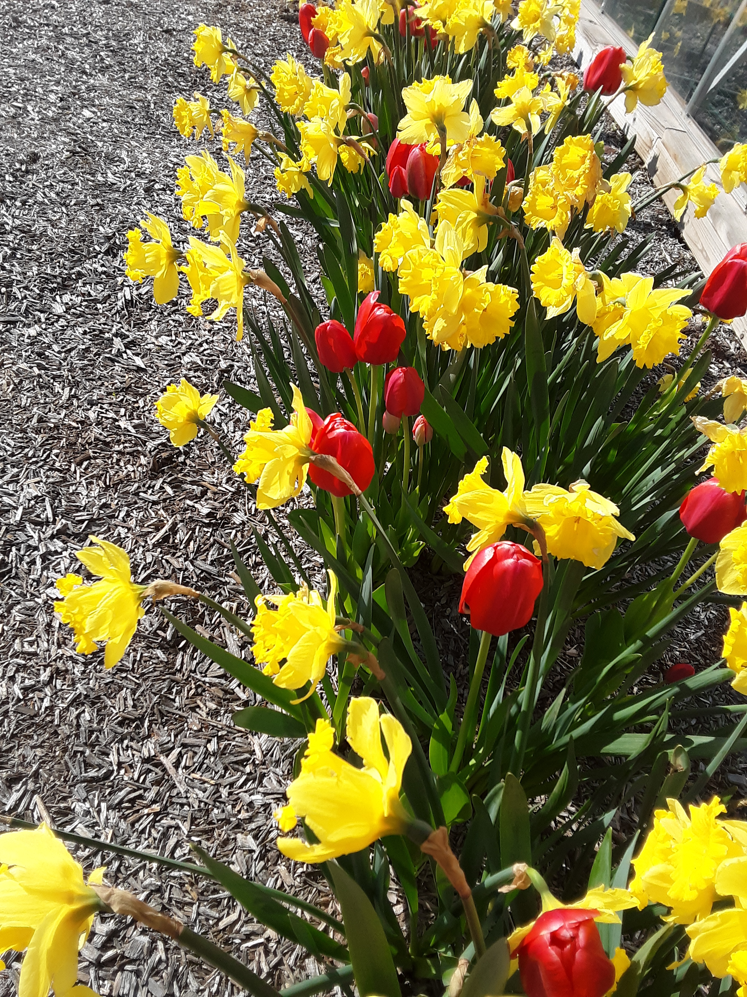 Spring has sprung at CCS! | The Eagle Express